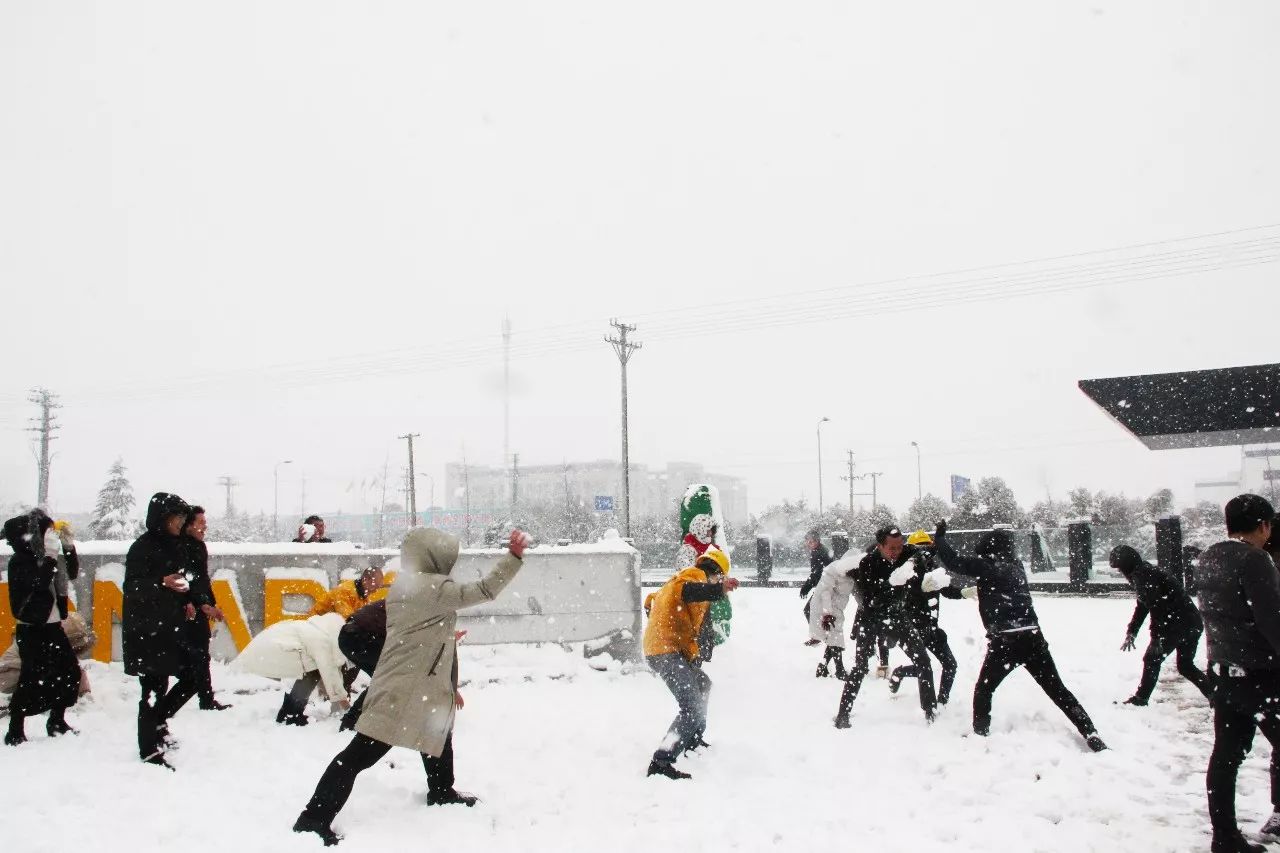 必发·bifa(中国)唯一官方网站